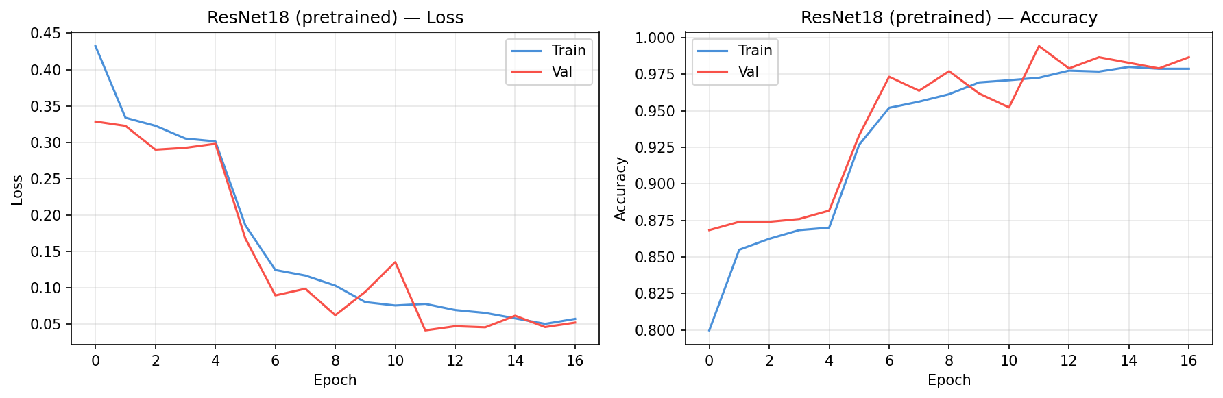 ResNet training curves